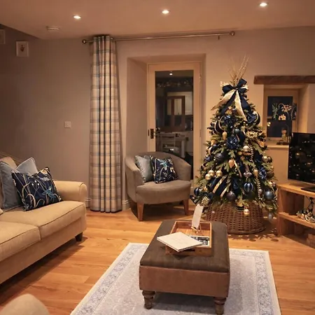 Kingfisher At Falls Aysgarth