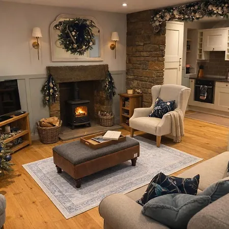 Kingfisher At Falls * Aysgarth