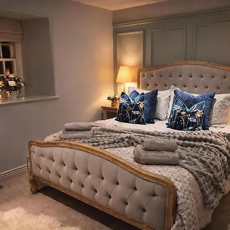 Kingfisher At Falls *